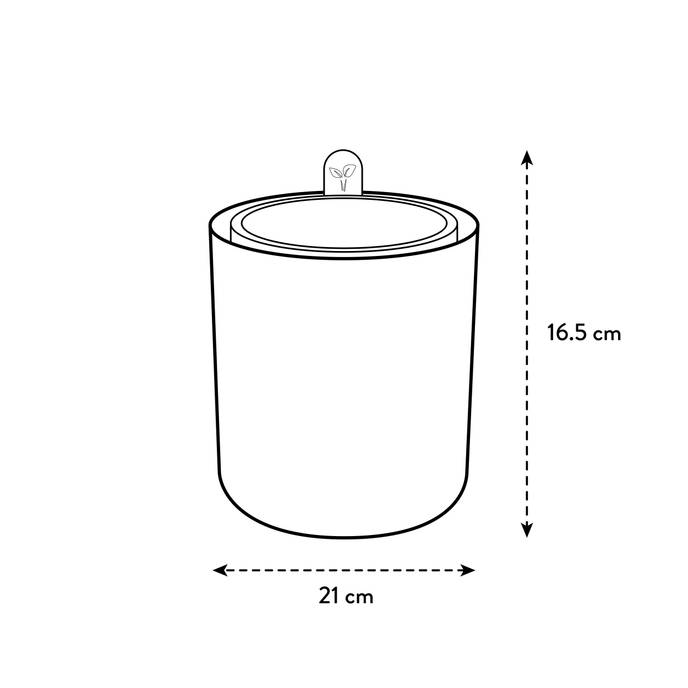 bouncy basil blanco lino